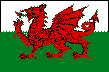 The Welsh flag - which features the Red Dragon emblem of the Rees Family
